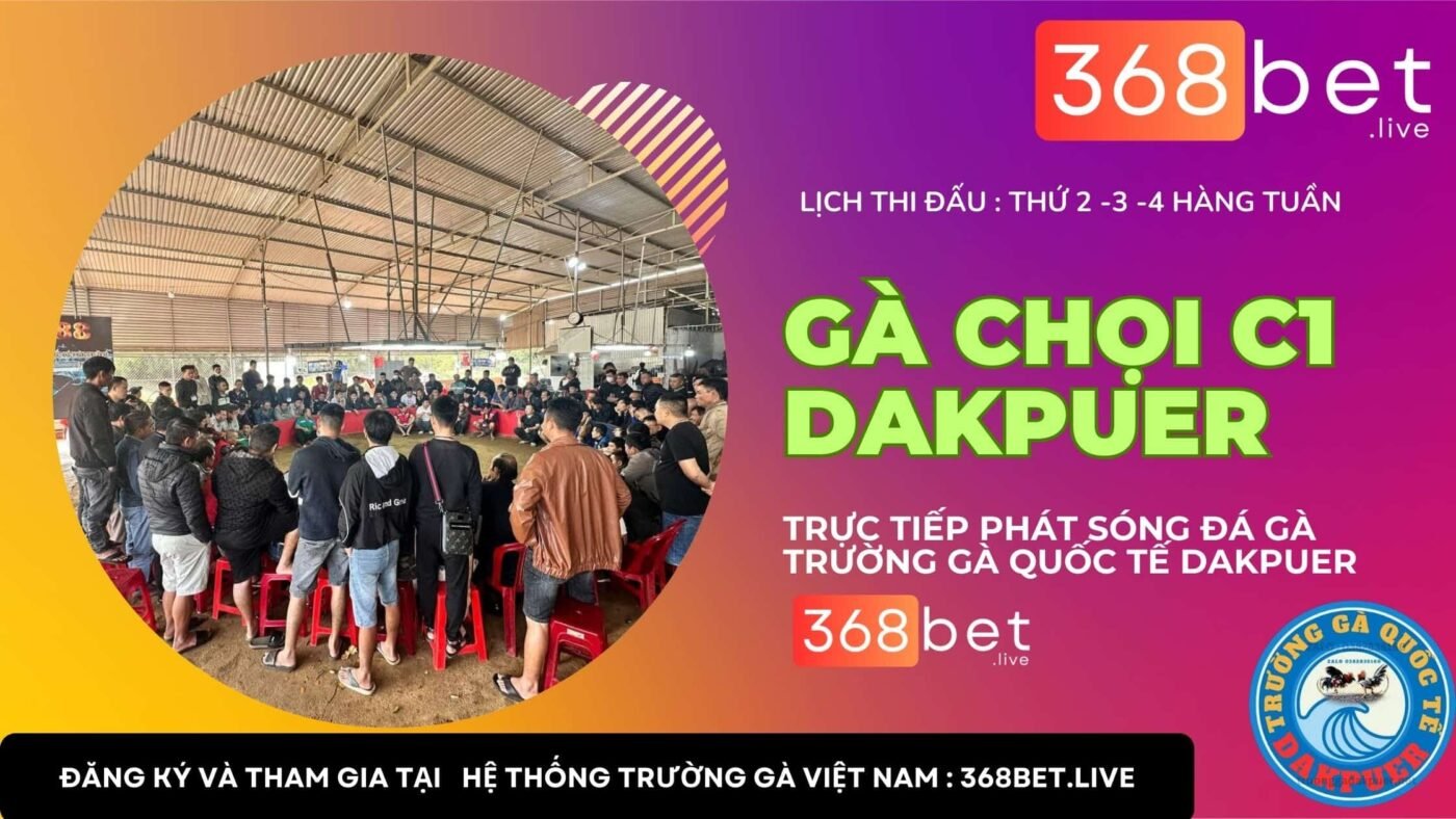 đá gà dakpuer 888 lệ thanh