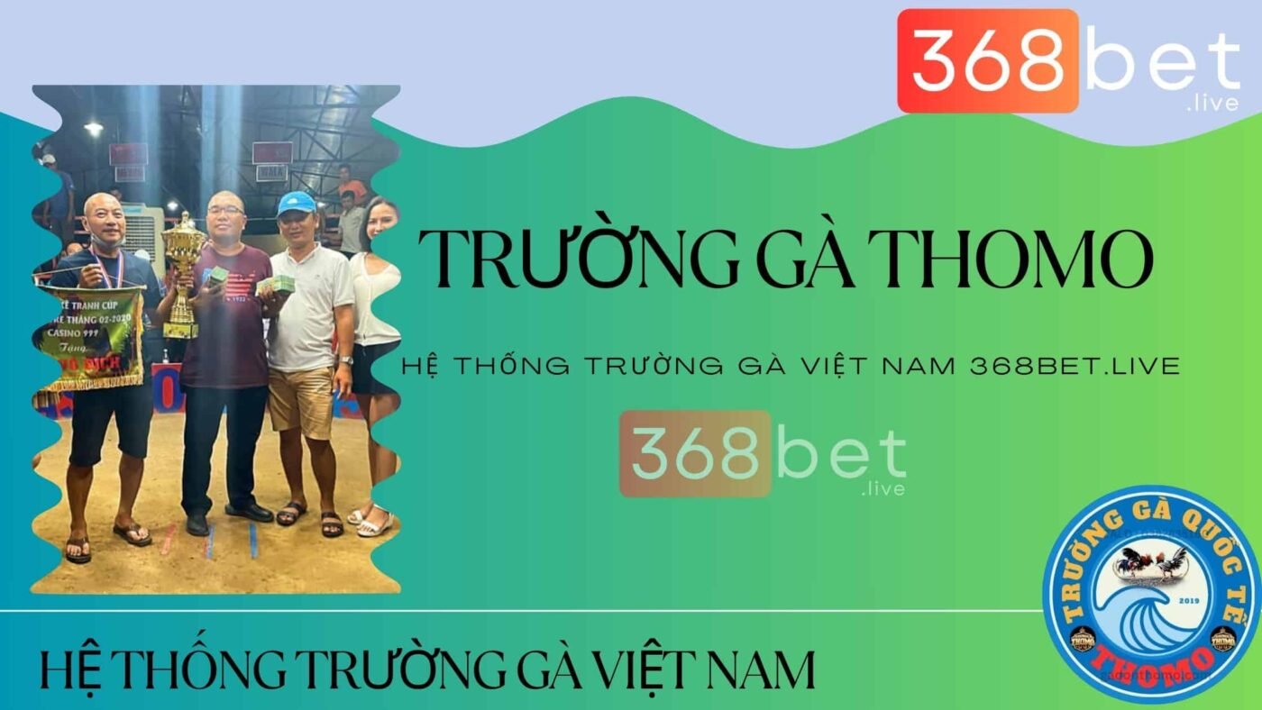 hệ thống trường đá gà c1 thomo