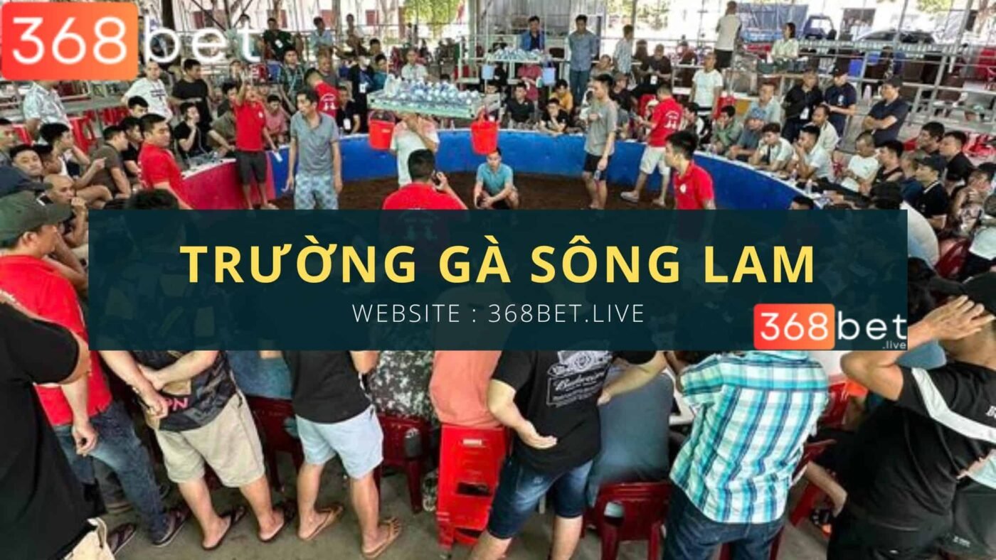 các trận gà đông đúc tại trường gà sông lam