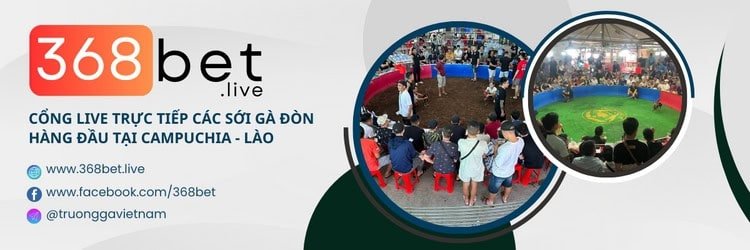 Đá gà c1 trực tiếp hôm nay tại 368bet