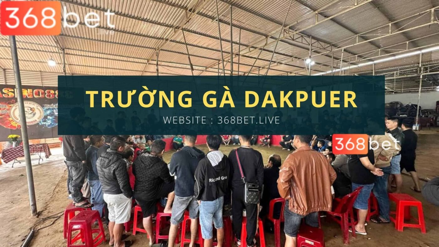 Trường gà Dakpuer 888 ở lào